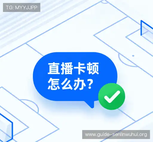 操作指导